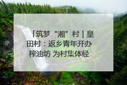 筑梦“湘”村｜皇田村：返乡青年开办榨油坊 为村集体经济“加油”