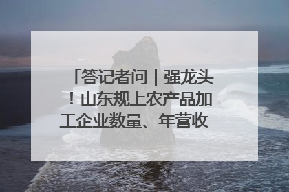 答记者问｜强龙头！山东规上农产品加工企业数量、年营收均居全国首位