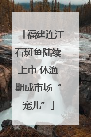 福建连江石斑鱼陆续上市 休渔期成市场“宠儿”