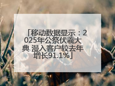 移动数据显示：2025年公祭伏羲大典 漫入客户较去年增长91.1%