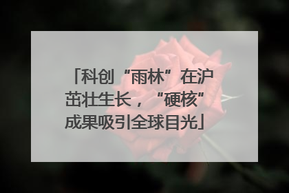 科创“雨林”在沪茁壮生长，“硬核”成果吸引全球目光