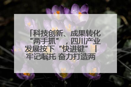 科技创新、成果转化“两手抓”，四川产业发展按下“快进键”丨牢记嘱托 奋力打造两高地两基地一屏障