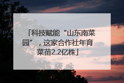 科技赋能“山东南菜园”，这家合作社年育菜苗2.2亿株