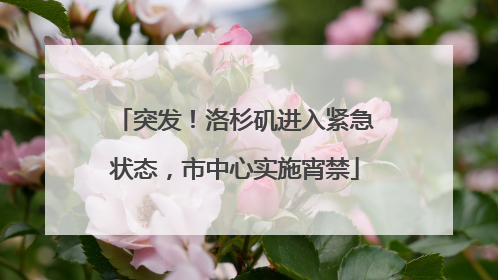 突发！洛杉矶进入紧急状态，市中心实施宵禁