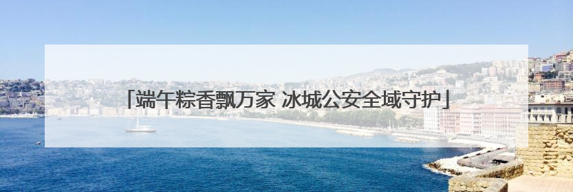 端午粽香飘万家 冰城公安全域守护