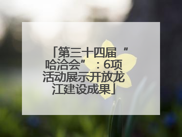 第三十四届“哈洽会”：6项活动展示开放龙江建设成果