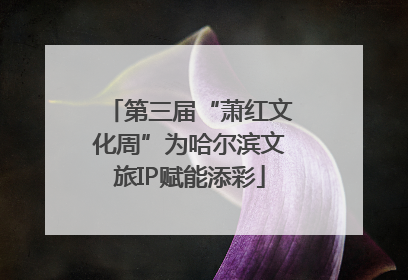 第三届“萧红文化周”为哈尔滨文旅IP赋能添彩