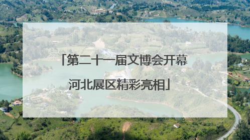 第二十一届文博会开幕 河北展区精彩亮相