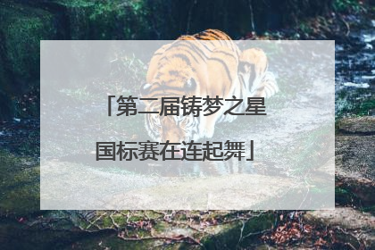 第二届铸梦之星国标赛在连起舞