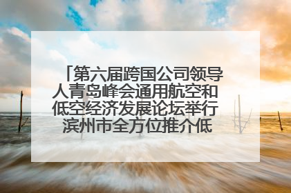 第六届跨国公司领导人青岛峰会通用航空和低空经济发展论坛举行 滨州市全方位推介低空经济发展优势