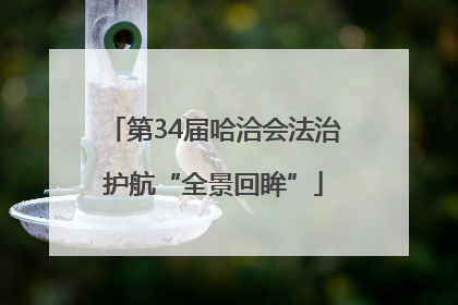 第34届哈洽会法治护航“全景回眸”