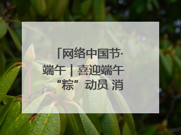 网络中国节·端午｜喜迎端午“粽”动员 消防安全记心中