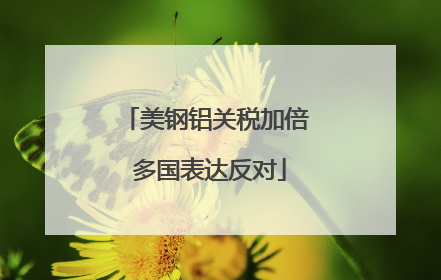 美钢铝关税加倍 多国表达反对