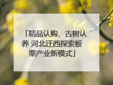 精品认购、古树认养 河北迁西探索板栗产业新模式
