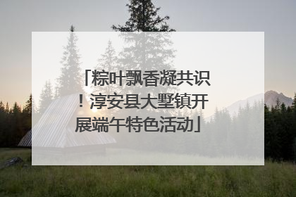 粽叶飘香凝共识！淳安县大墅镇开展端午特色活动