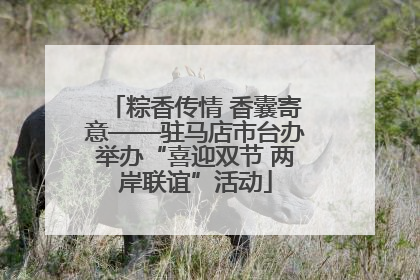 粽香传情 香囊寄意——驻马店市台办举办“喜迎双节 两岸联谊”活动
