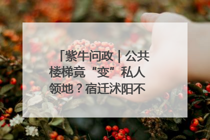 紫牛问政｜公共楼梯竟“变”私人领地？宿迁沭阳不动产登记引质疑