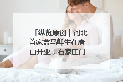 纵览原创｜河北首家盒马鲜生在唐山开业，石家庄门店预计8月开业