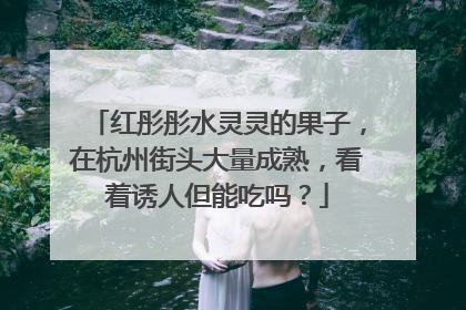 红彤彤水灵灵的果子，在杭州街头大量成熟，看着诱人但能吃吗？