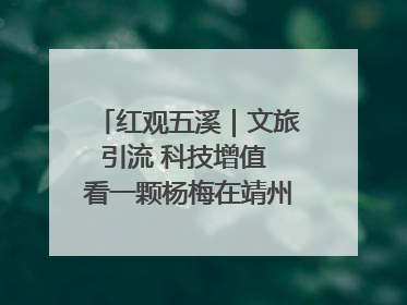 红观五溪｜文旅引流 科技增值 看一颗杨梅在靖州的“商业觉醒”