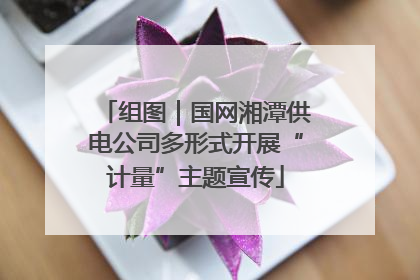 组图｜国网湘潭供电公司多形式开展“计量”主题宣传