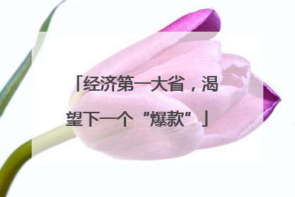 经济第一大省，渴望下一个“爆款”