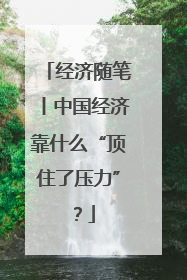 经济随笔丨中国经济靠什么“顶住了压力”？