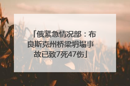 俄紧急情况部：布良斯克州桥梁坍塌事故已致7死47伤