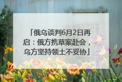 俄乌谈判6月2日再启：俄方携草案赴会，乌方坚持领土不妥协