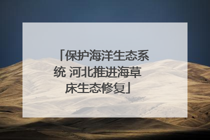 保护海洋生态系统 河北推进海草床生态修复