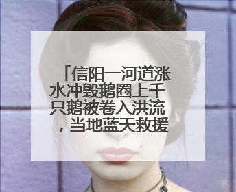 信阳一河道涨水冲毁鹅圈上千只鹅被卷入洪流，当地蓝天救援队一小时赶鹅上岸