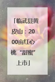 临武县黄皮山：2000亩红心桃“甜蜜”上市