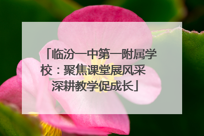 临汾一中第一附属学校：聚焦课堂展风采 深耕教学促成长