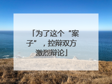为了这个“案子”，控辩双方激烈辩论