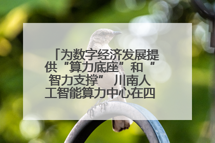 为数字经济发展提供“算力底座”和“智力支撑” 川南人工智能算力中心在四川泸州启动