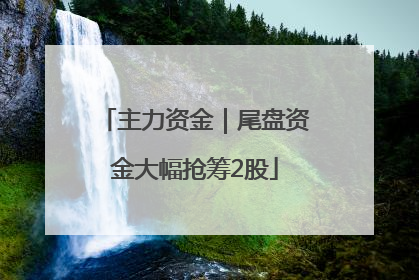 主力资金｜尾盘资金大幅抢筹2股
