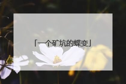 一个矿坑的蝶变