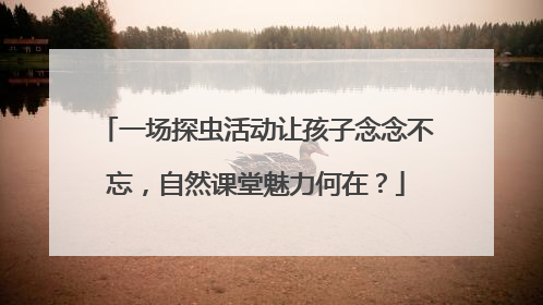 一场探虫活动让孩子念念不忘，自然课堂魅力何在？