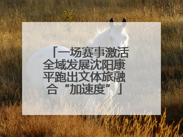 一场赛事激活全域发展沈阳康平跑出文体旅融合“加速度”