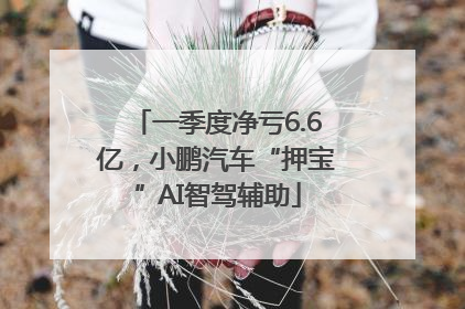 一季度净亏6.6亿，小鹏汽车“押宝”AI智驾辅助