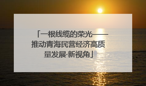 一根线缆的荣光——推动青海民营经济高质量发展·新视角