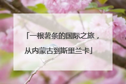 一根薯条的国际之旅，从内蒙古到斯里兰卡