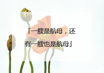 一艘是航母，还有一艘也是航母