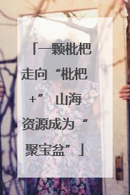一颗枇杷走向“枇杷+” 山海资源成为“聚宝盆”