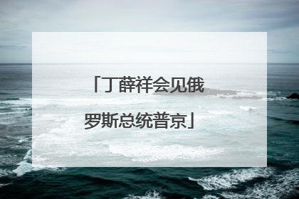 丁薛祥会见俄罗斯总统普京