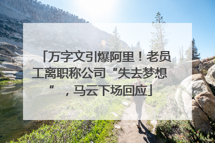 万字文引爆阿里！老员工离职称公司“失去梦想”，马云下场回应