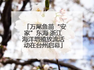 万尾鱼苗“安家”东海 浙江海洋增殖放流活动在台州启幕