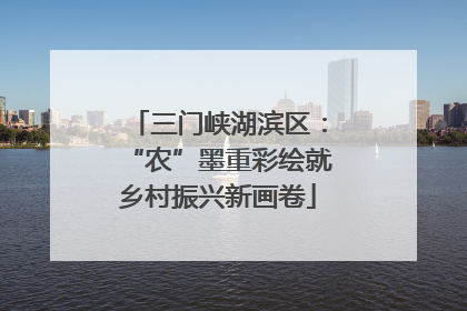 三门峡湖滨区：“农”墨重彩绘就乡村振兴新画卷