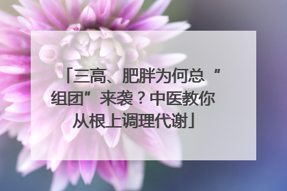 三高、肥胖为何总“组团”来袭？中医教你从根上调理代谢