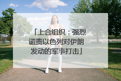 上合组织：强烈谴责以色列对伊朗发动的军事打击